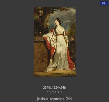 Joshua Reynolds
