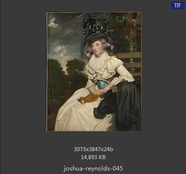Joshua Reynolds