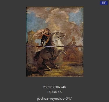 Joshua Reynolds