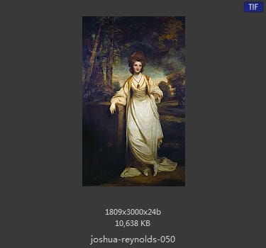 Joshua Reynolds