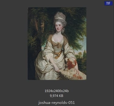 Joshua Reynolds