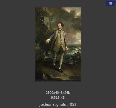 Joshua Reynolds