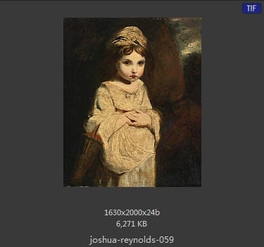 Joshua Reynolds