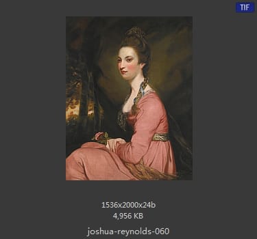 Joshua Reynolds