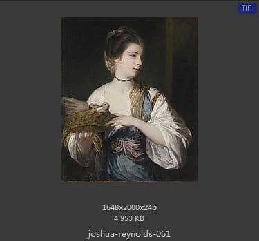 Joshua Reynolds