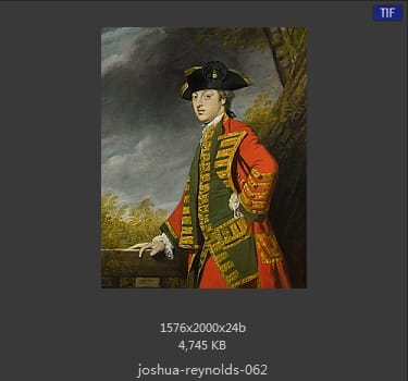 Joshua Reynolds