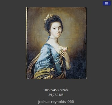 Joshua Reynolds