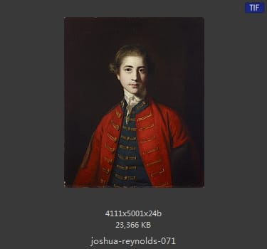 Joshua Reynolds