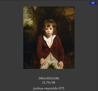Joshua Reynolds