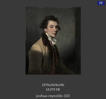Joshua Reynolds