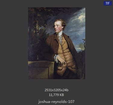 Joshua Reynolds