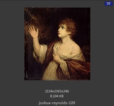 Joshua Reynolds