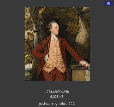 Joshua Reynolds