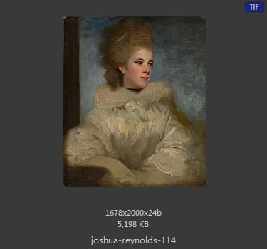 Joshua Reynolds