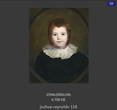 Joshua Reynolds