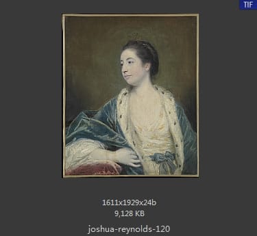 Joshua Reynolds
