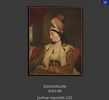 Joshua Reynolds
