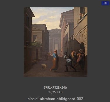 Nicolai Abildgaard