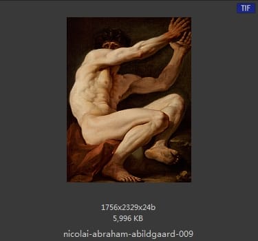 Nicolai Abildgaard