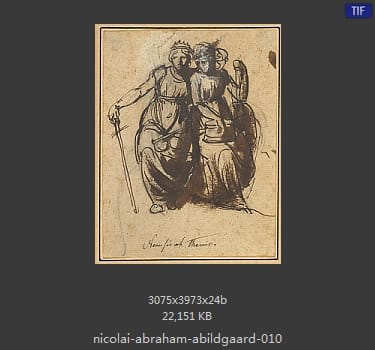 Nicolai Abildgaard