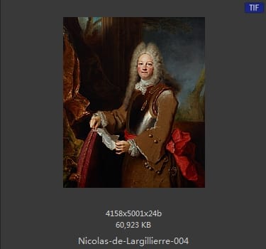 Nicolas de Largillierre
