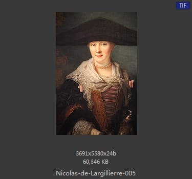 Nicolas de Largillierre