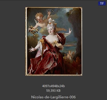 Nicolas de Largillierre