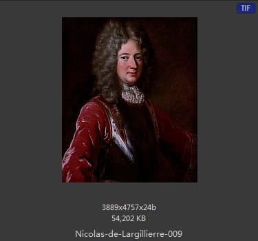 Nicolas de Largillierre