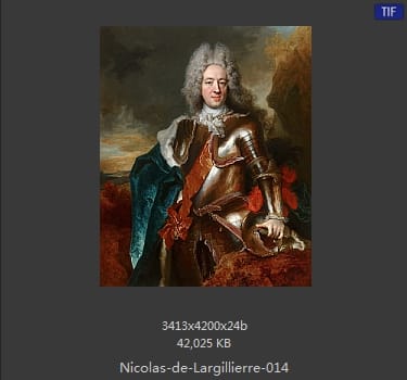Nicolas de Largillierre