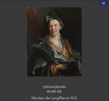 Nicolas de Largillierre