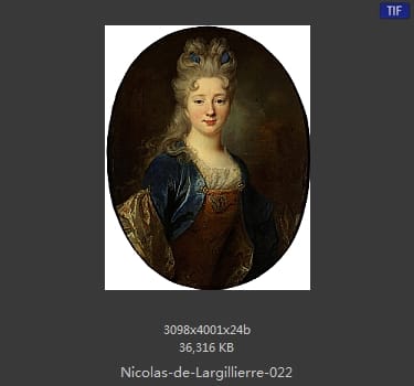 Nicolas de Largillierre