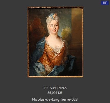 Nicolas de Largillierre