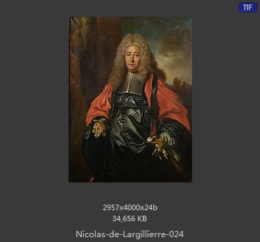 Nicolas de Largillierre