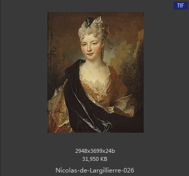 Nicolas de Largillierre