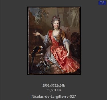 Nicolas de Largillierre