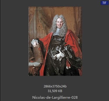 Nicolas de Largillierre