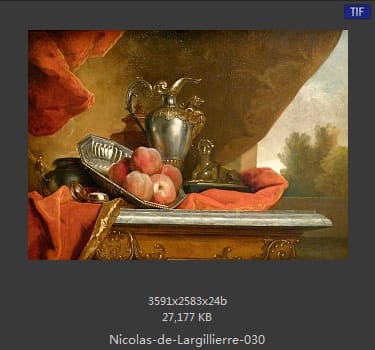 Nicolas de Largillierre