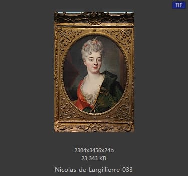 Nicolas de Largillierre