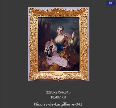 Nicolas de Largillierre