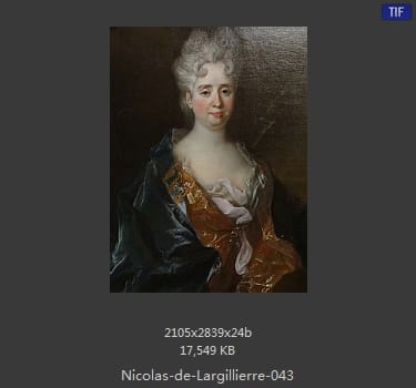Nicolas de Largillierre