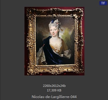 Nicolas de Largillierre