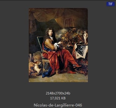 Nicolas de Largillierre