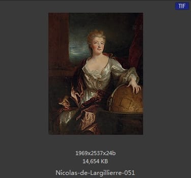 Nicolas de Largillierre