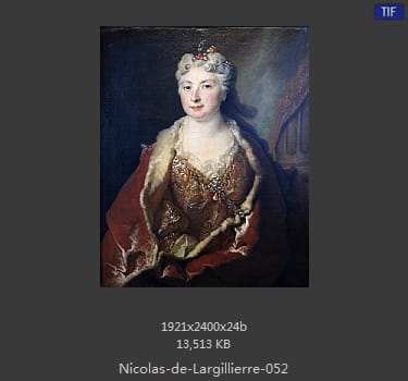 Nicolas de Largillierre