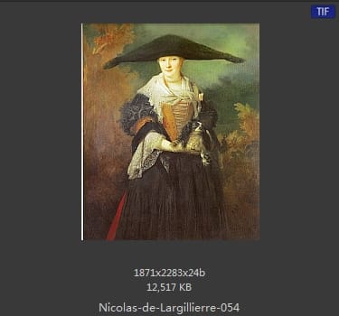 Nicolas de Largillierre