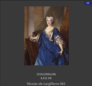 Nicolas de Largillierre