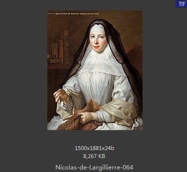 Nicolas de Largillierre