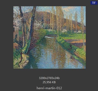 Henri Martin