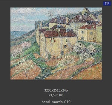 Henri Martin