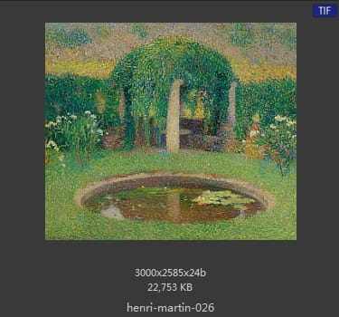 Henri Martin